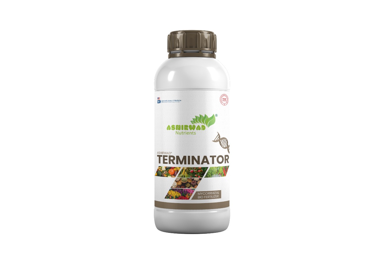 TERMINATOR बोतल